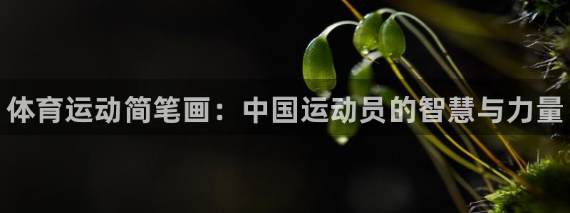yy易游官网下载平台是正规平台吗：体育运动简笔画：中