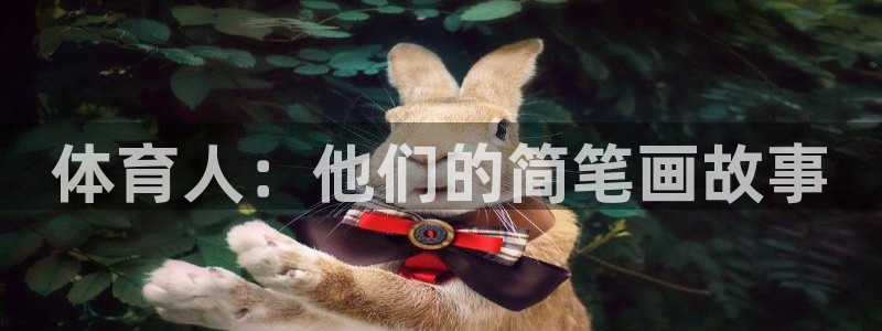 yy易游官方正版app开户：体育人：他们的简笔画故事