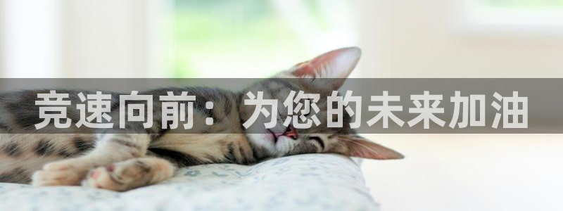 yy易游官网下载招商电话地址查询：竞速向前：为您的未