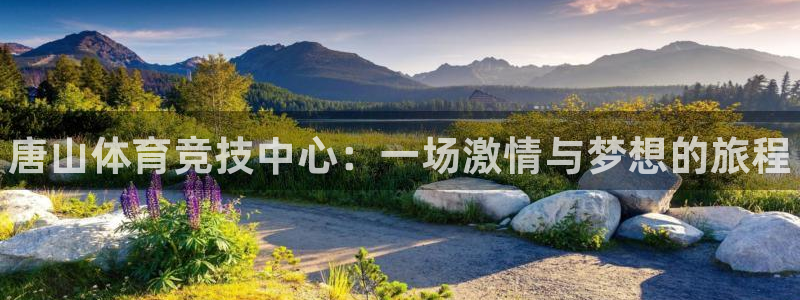 yy易游官网下载平台：唐山体育竞技中心：一场激情与梦