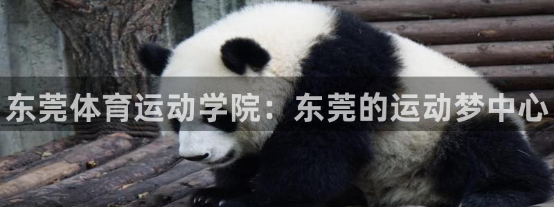 yy易游官网下载注册：东莞体育运动学院：东莞的运动梦