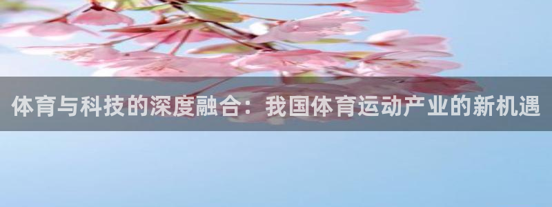 yy易游官网下载招商电话地址查询