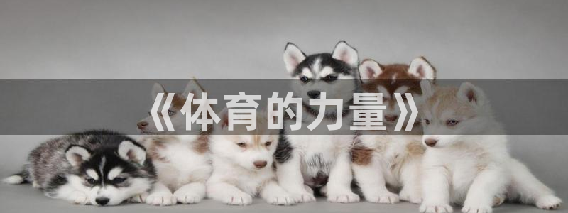yy易游官方正版app娱乐40996：《体育的力量》