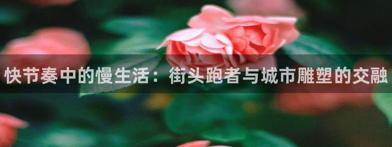 yy易游官网下载招商电话号码是多少号：快节奏中的慢生活：街头