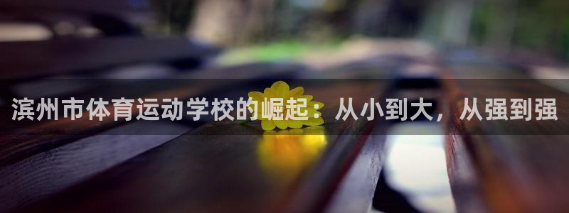 yy易游官网下载招商电话号码是多少啊：滨州市体育运动