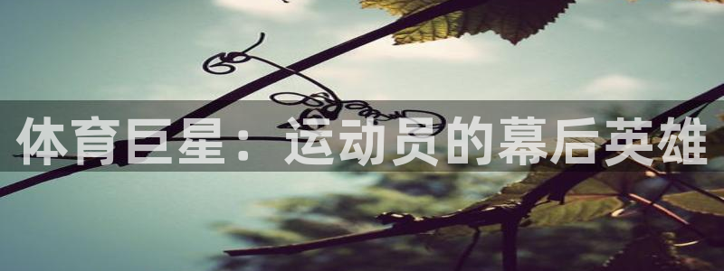 yy易游官网下载招商电话是多少号码：体育巨星：运动员的幕后英