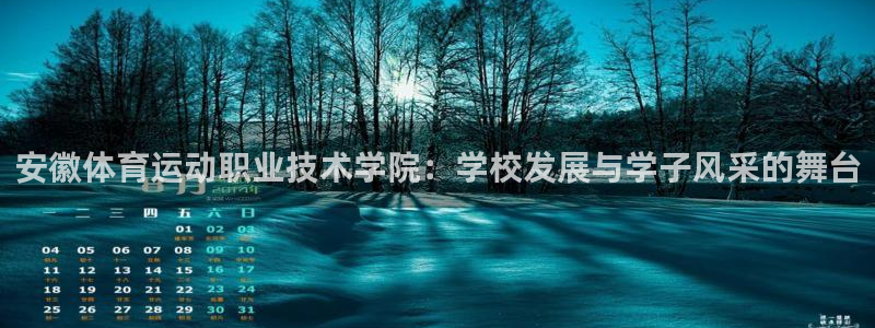 yy易游官网下载招商电话地址查询