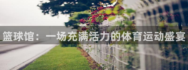 yy易游体育电竞登录不上去怎么办