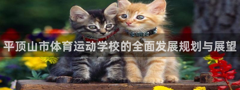 yy易游体育平台能提现吗安全吗：平顶山市体育运动学校的全面发