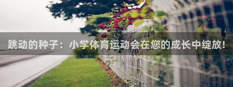 yy易游体育电竞登录不上去：跳动的种子：小学体育运动会在您的