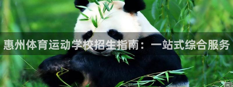 yy易游体育平台能提现吗