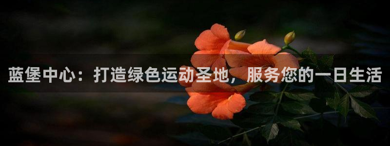 yy易游体育怎么样知乎：蓝堡中心：打
