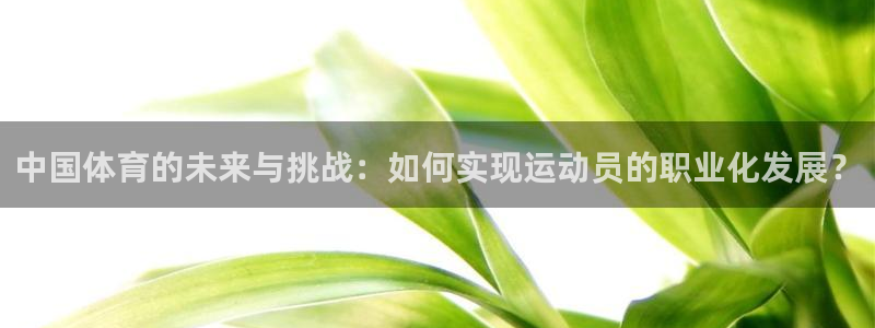  YY易游体育app最新版本更新内容：中国体育的未来与挑战：如