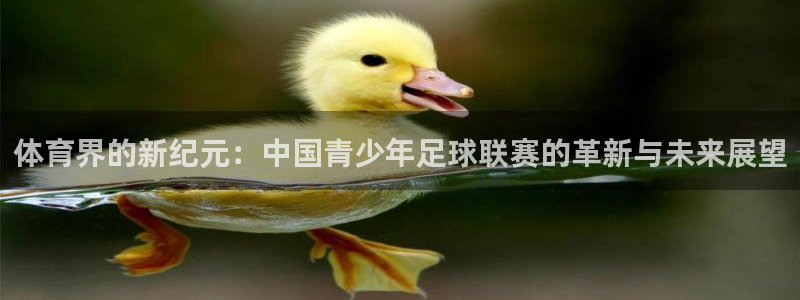 yy易游体育米乐：体育界的新纪元：中
