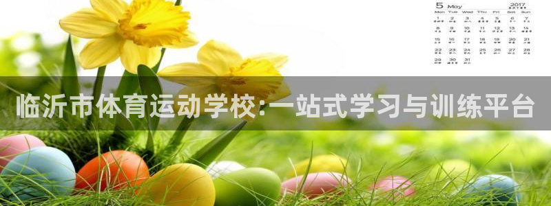 yy易游体育平台能提现吗：临沂市体育