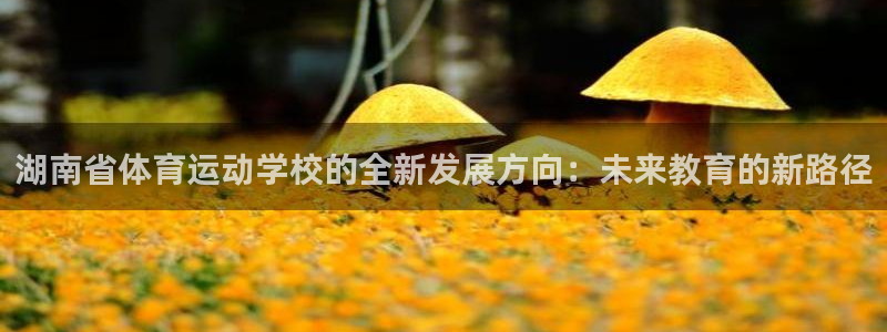  yy易游体育电竞怎么样：湖南省体育运动学校的全新发展方向：未