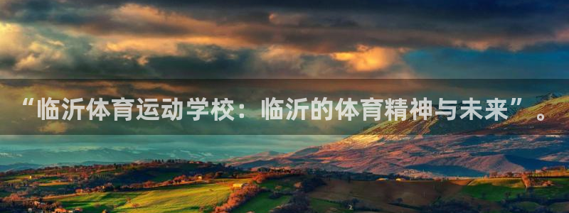 yy易游体育电竞：“临沂体育运动学校：临沂的体育精神与未来”