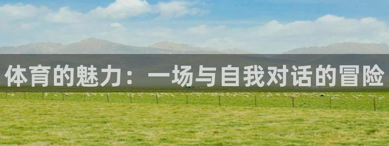 yy易游体育平台