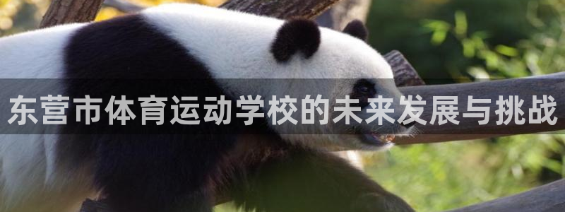 yy易游体育电竞登录不上去怎么办：东